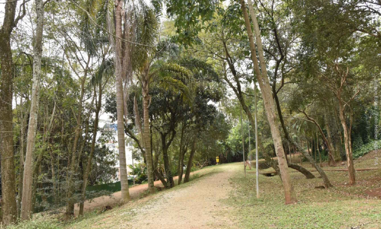 Santo André amplia horário de funcionamento de dois parques