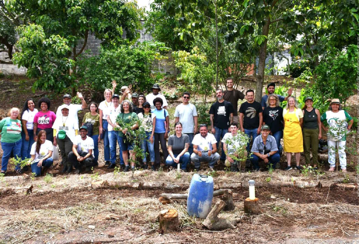 Agrofloresta no Jardim Ana Maria, em Santo André, é ampliada com plantio comunitário