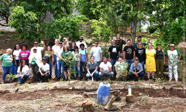 Agrofloresta no Jardim Ana Maria, em Santo André, é ampliada com plantio comunitário