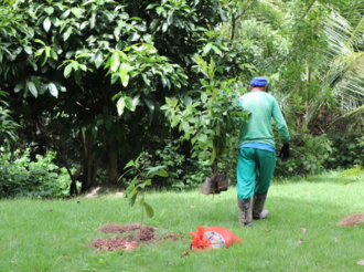Ação de Reflorestamento Celebra o Dia da Mata Atlântica com o Plantio de Mudas em São Bernardo do Campo